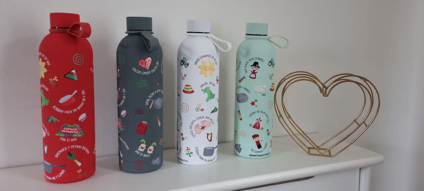 750ml stainless steel water bottles in four colours with Welsh wraparound print