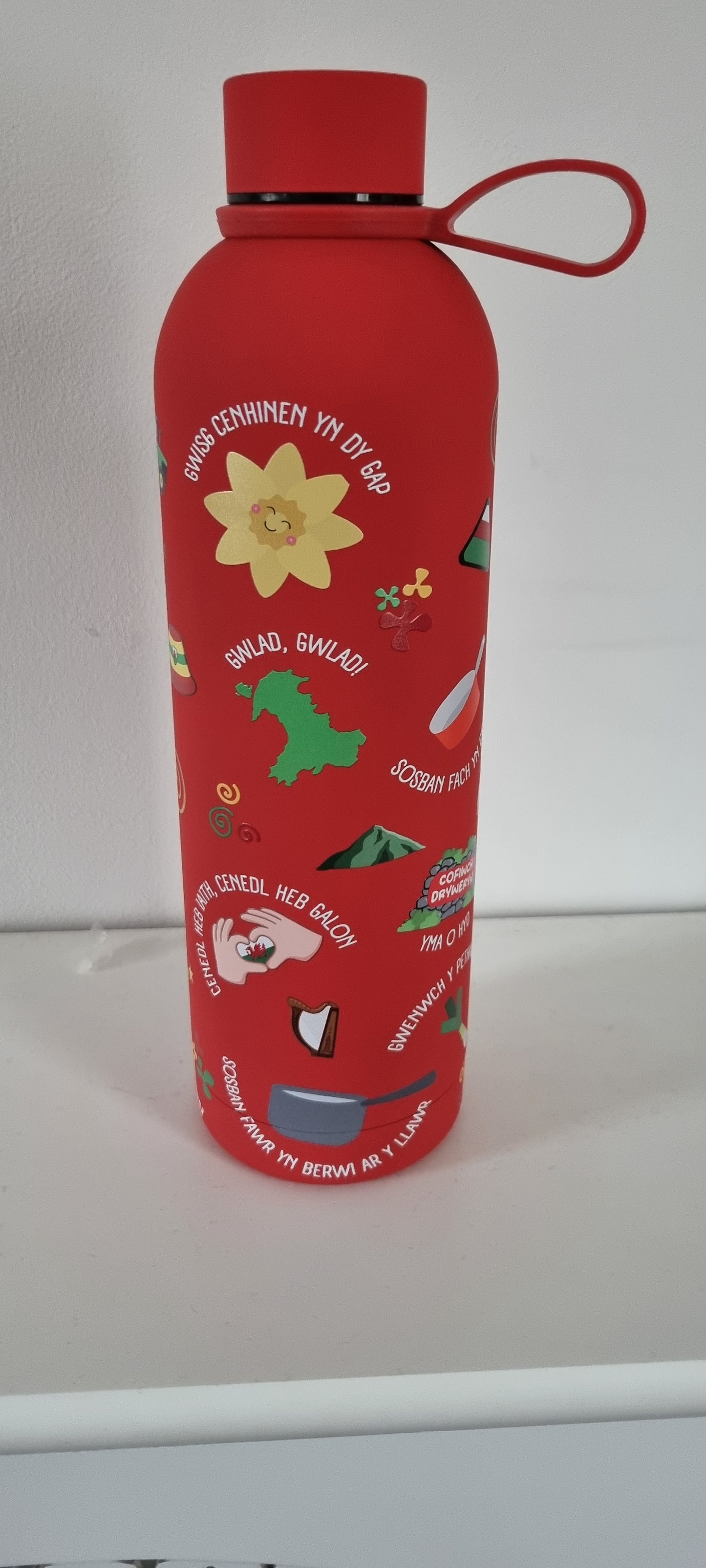 Lliwiau Cymru Stainless Steel Water Bottle – 750ml