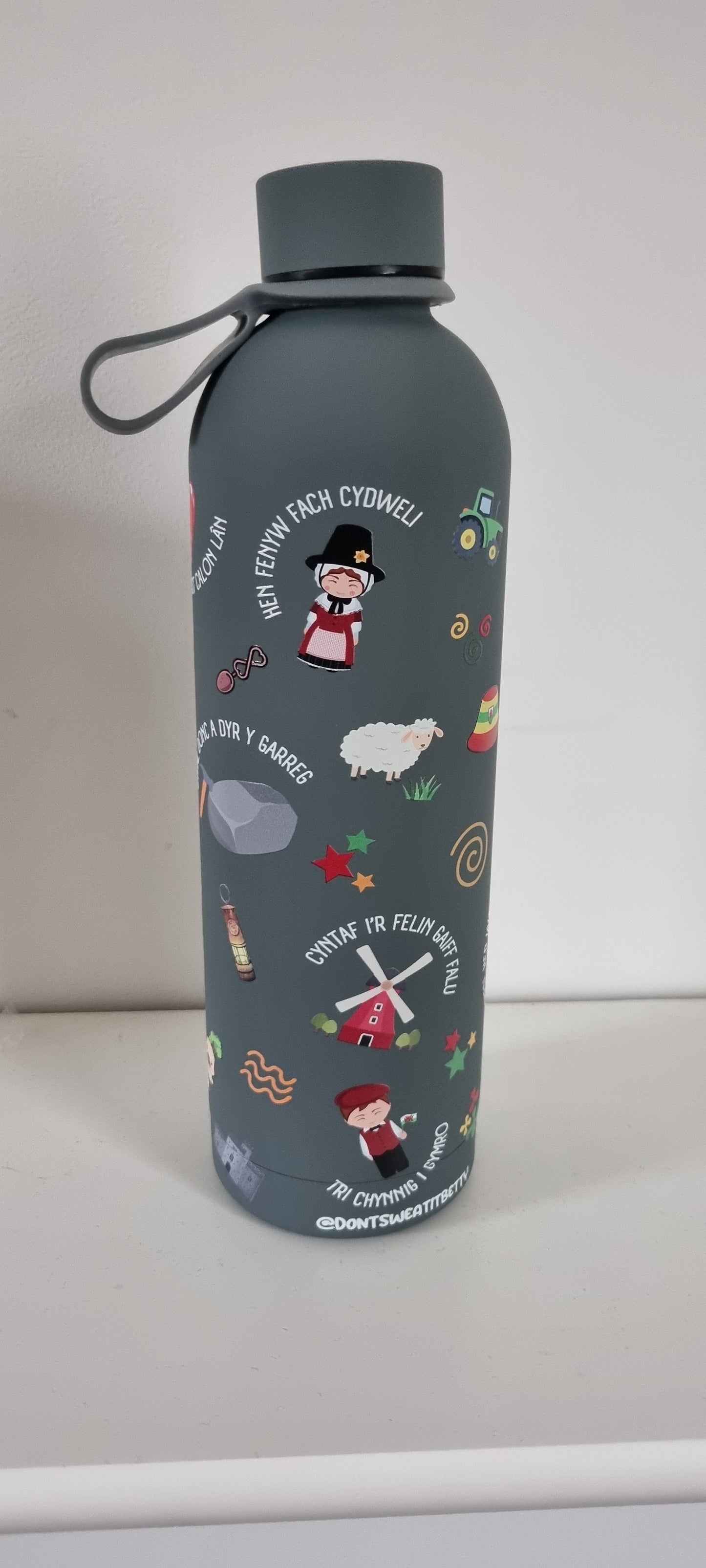 Lliwiau Cymru Stainless Steel Water Bottle – 750ml