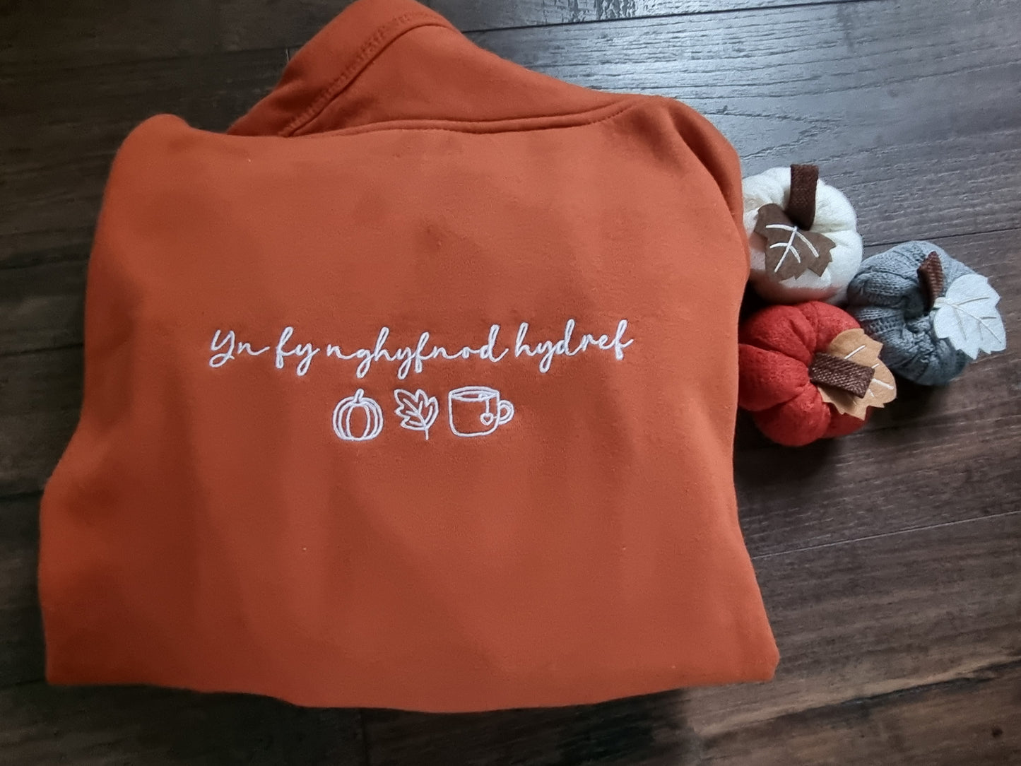 Yn Fy Nghyfnod Hydref Embroidered Hoodie