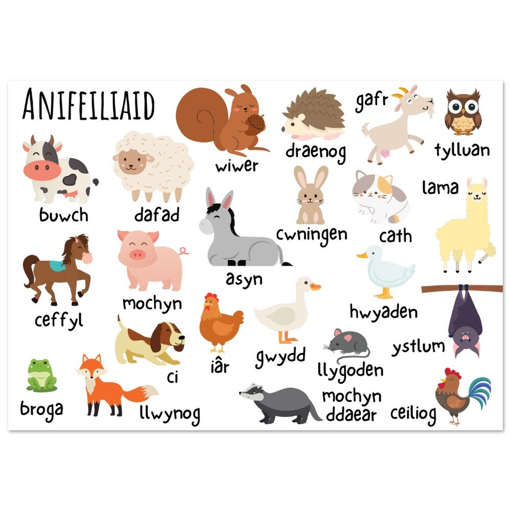 Anifeiliaid Welsh educational Wallart | Welsh Print