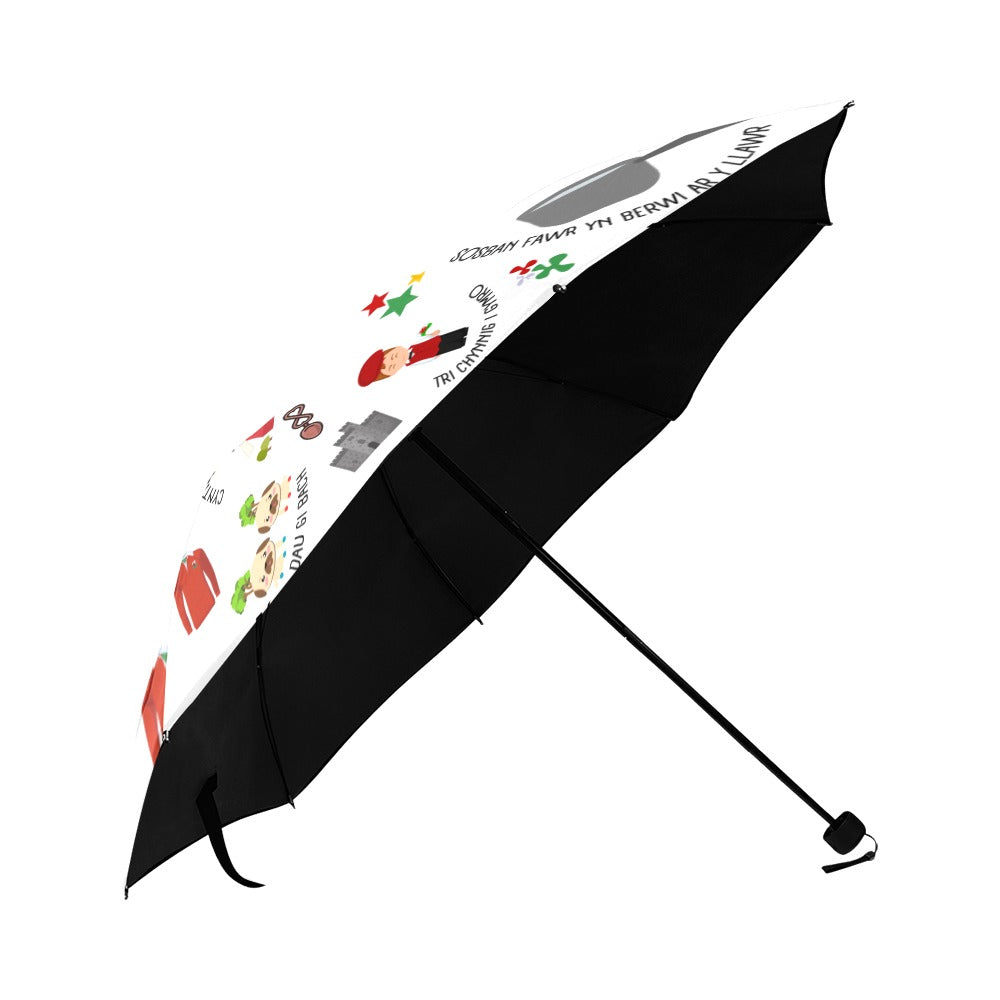 Welsh Themed Umbrella - 'Cymru'