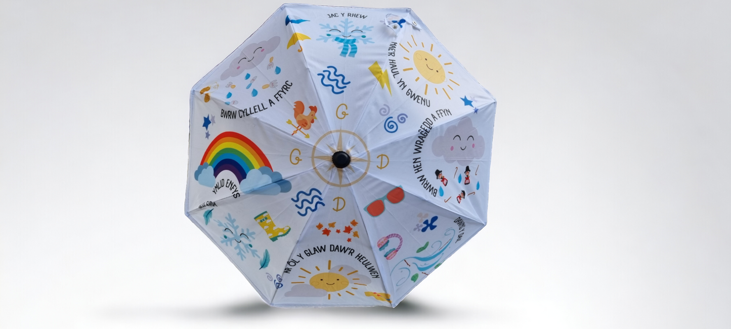 Welsh Themed Umbrella - 'Tywydd'