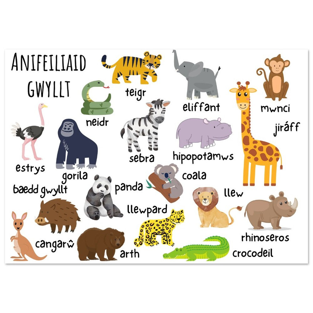 Anifeiliaid Gwyllt Welsh educational Wallart | Welsh Prints