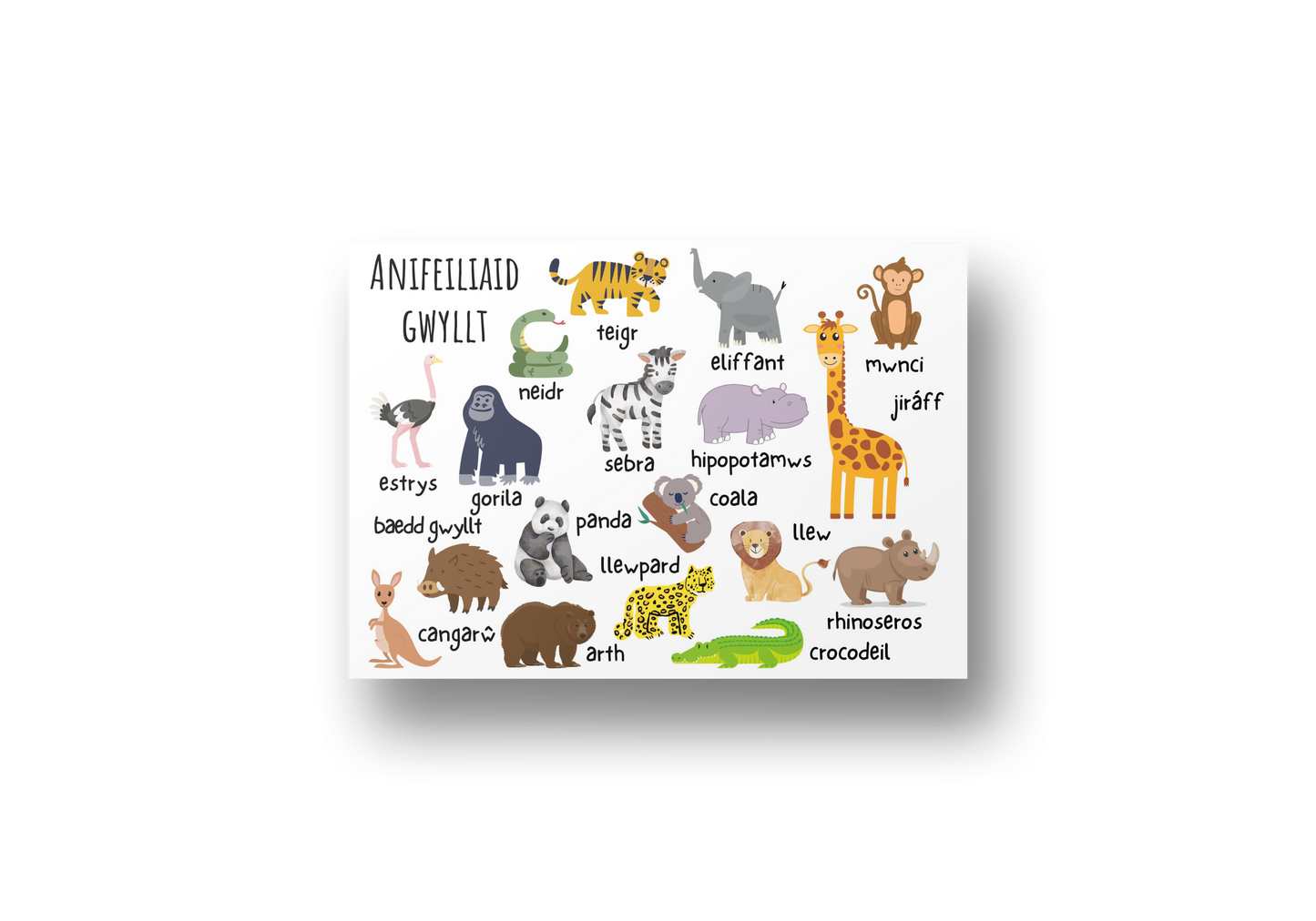 Anifeiliaid Gwyllt Welsh educational Wallart | Welsh Prints