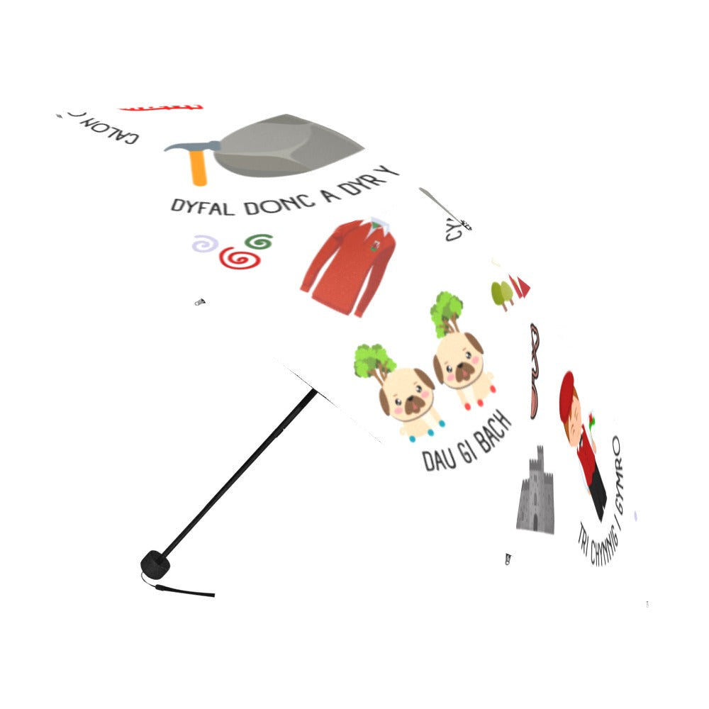 Welsh Themed Umbrella - 'Cymru'