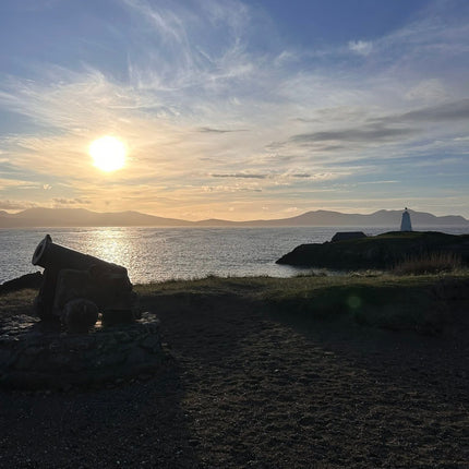 Collection image for: Cymry