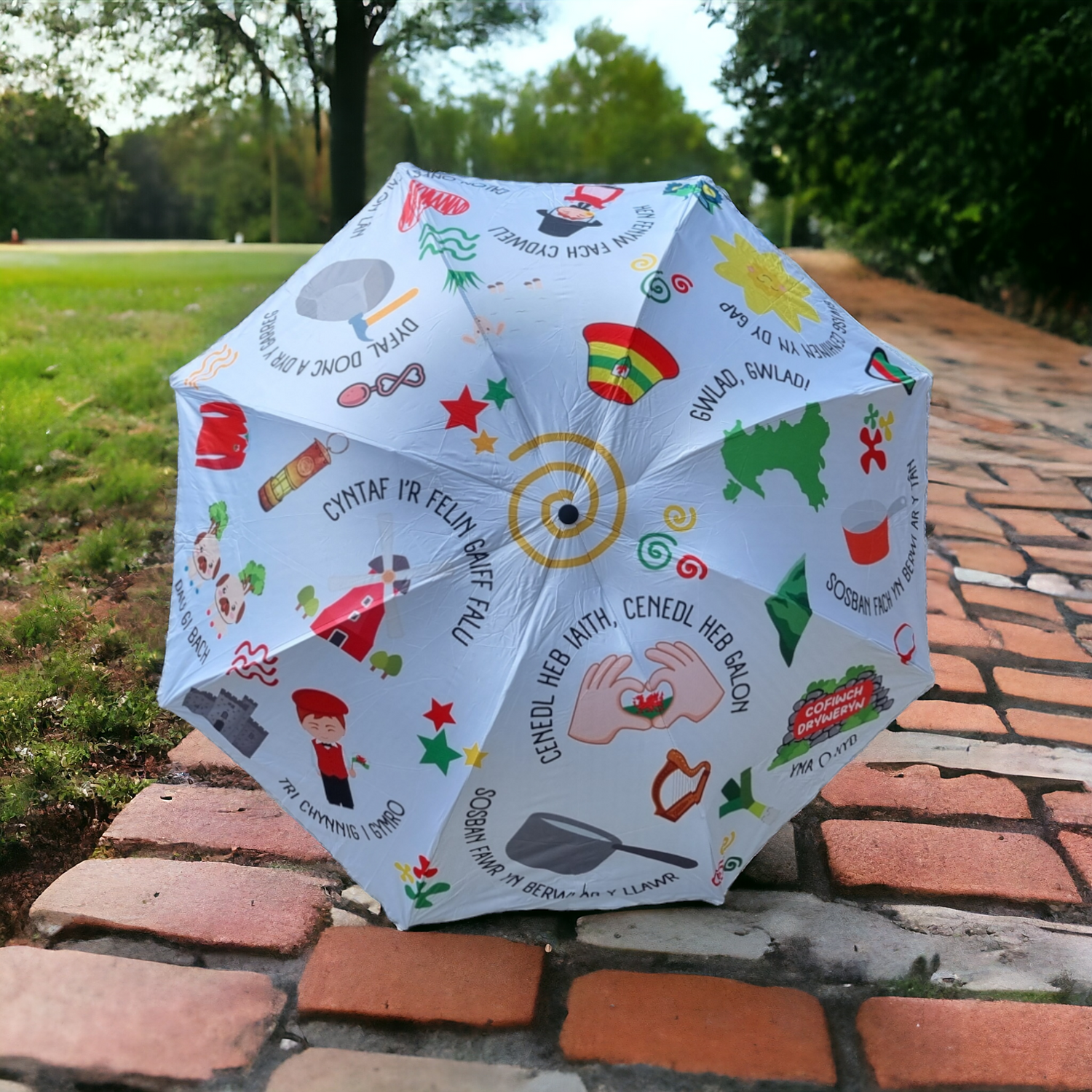 Umbrellas