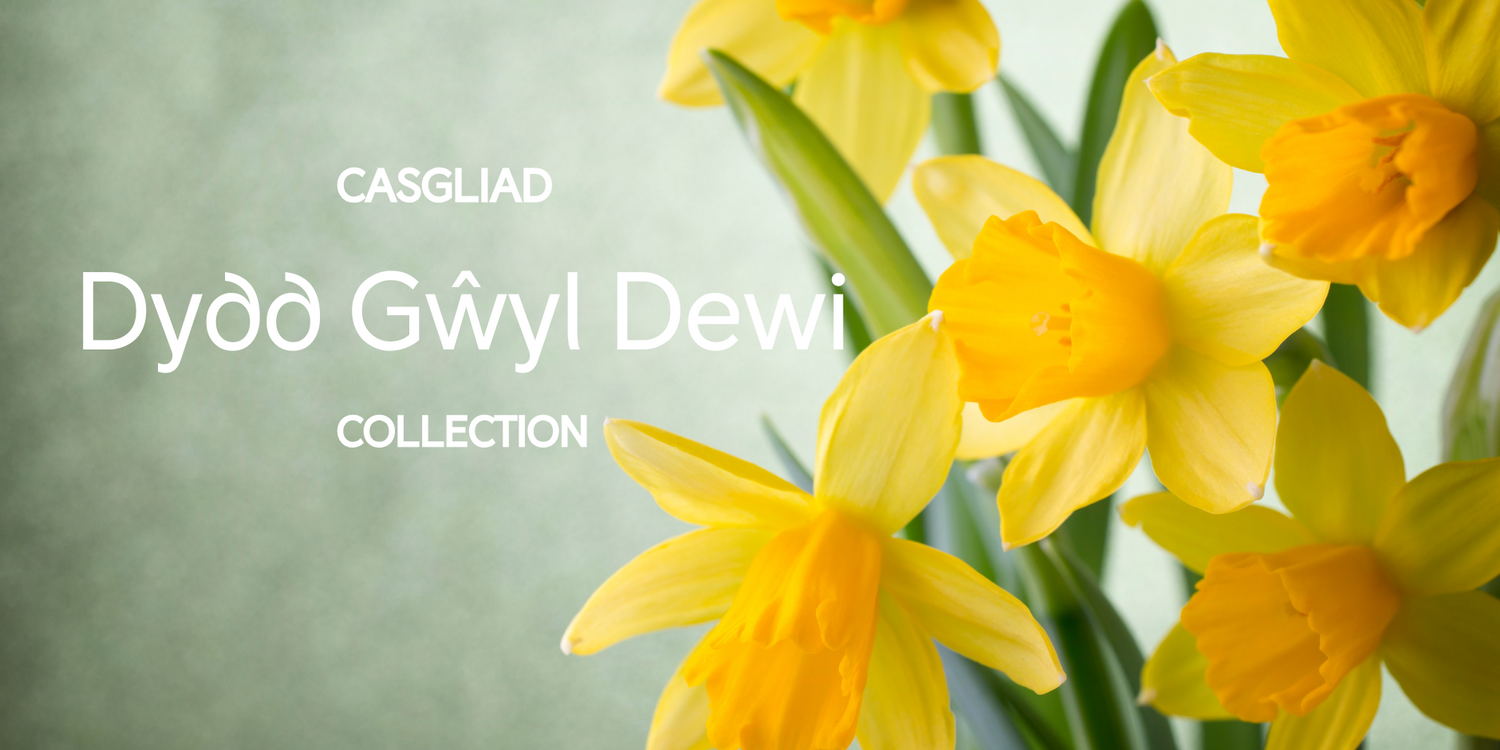 Dydd Gŵyl Dewi