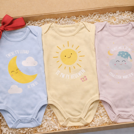 Collection image for: Welsh Words of Love Baby Collection