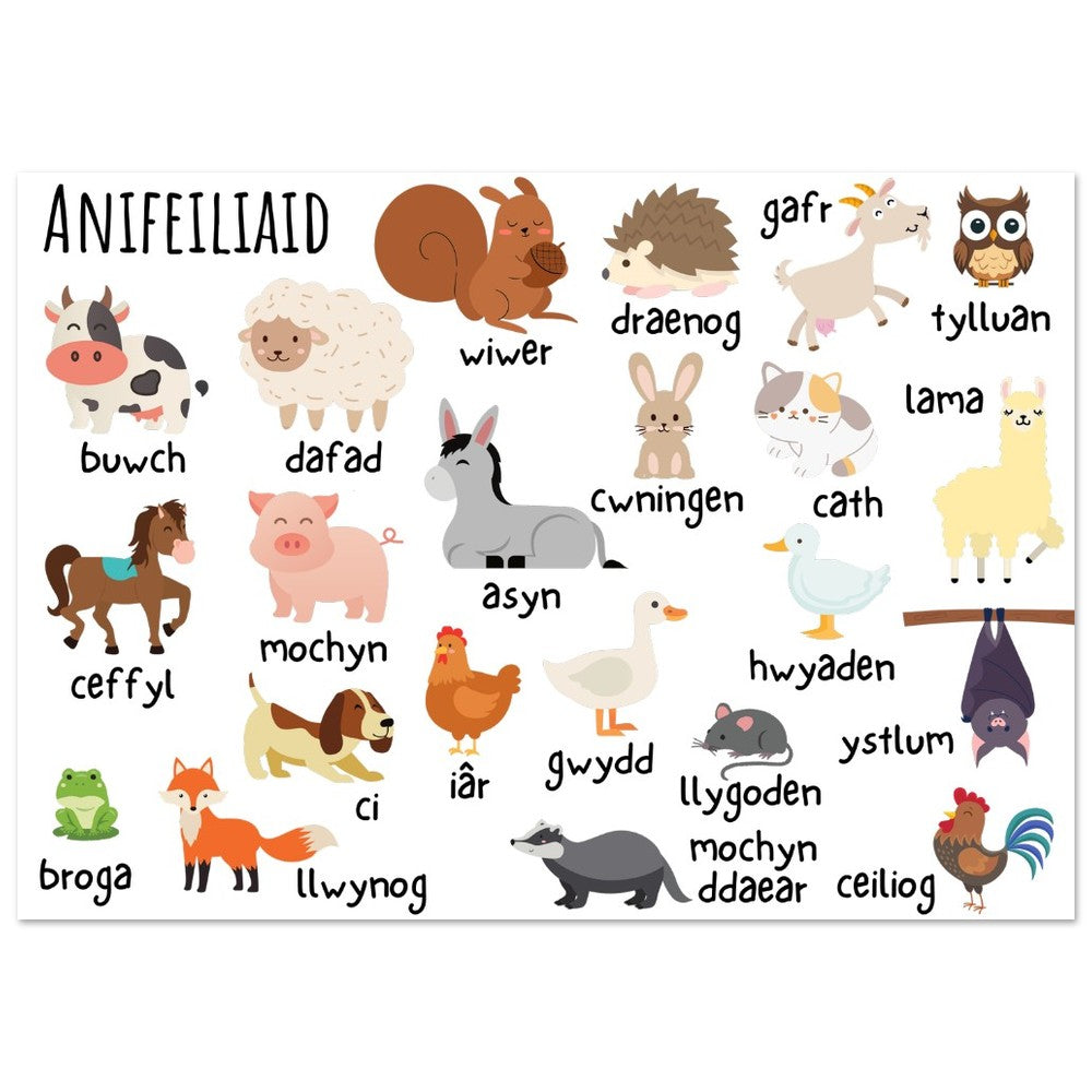Anifeiliaid Welsh educational Wallart | Welsh Print