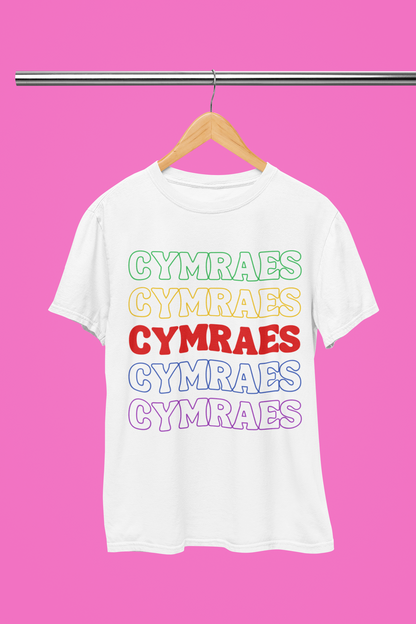 Cymraes rainbow repeat t-shirt on a hanger