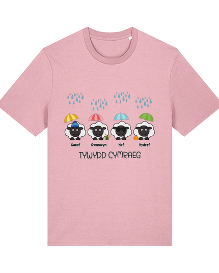 Tywydd Cymraeg Printed Adult T-Shirt