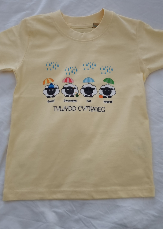 Tywydd Cymraeg children's tshirt