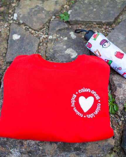 Calon Lân Welsh Weather Set