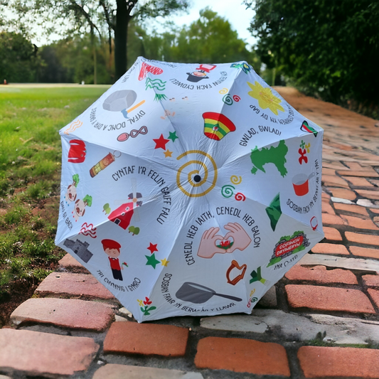 Welsh Themed Umbrella - 'Cymru'
