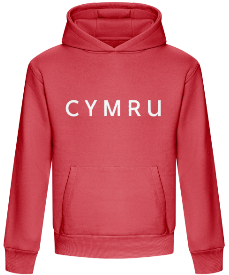 CYMRU Premium Hoodie