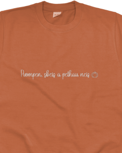 Pwmpen, sbeis a pethau neis Embroidered Sweatshirt