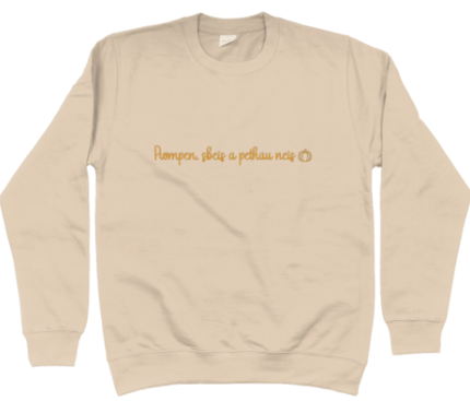 Pwmpen, sbeis a pethau neis Embroidered Sweatshirt
