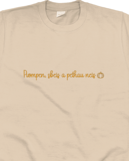 Pwmpen, sbeis a pethau neis Embroidered Sweatshirt