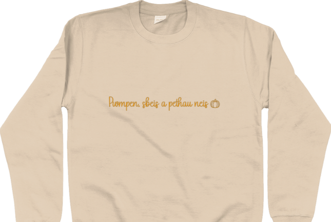 Pwmpen, sbeis a pethau neis Embroidered Sweatshirt