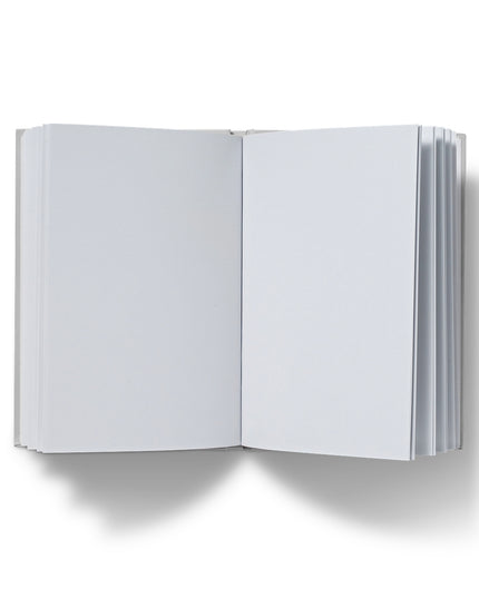 Syniad Gwych a Chynlluniau Cyfrwys Hardback Journal