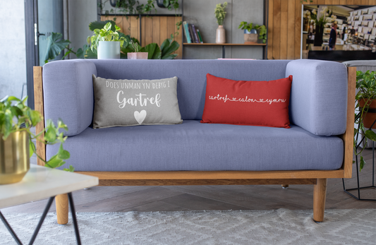 A premium pillow with a Welsh themed design, featuring text in Welsh on a sofa in a room with decorative plants and wooden furniture.