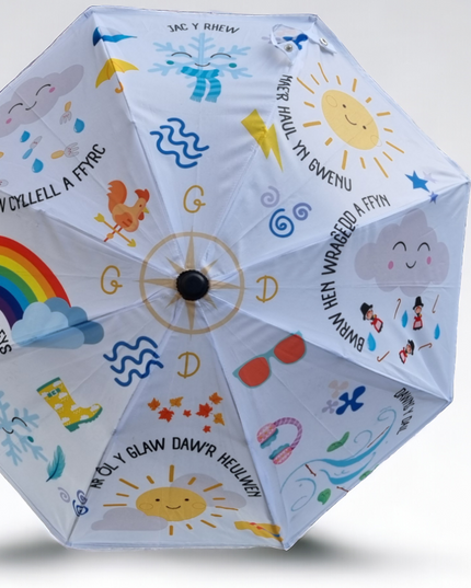 Welsh Themed Umbrella - 'Tywydd'