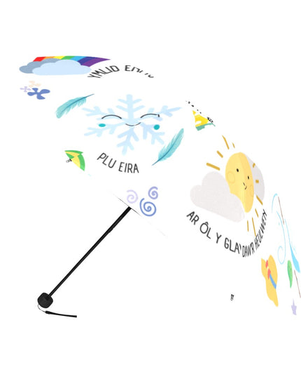 Welsh Themed Umbrella - 'Tywydd'