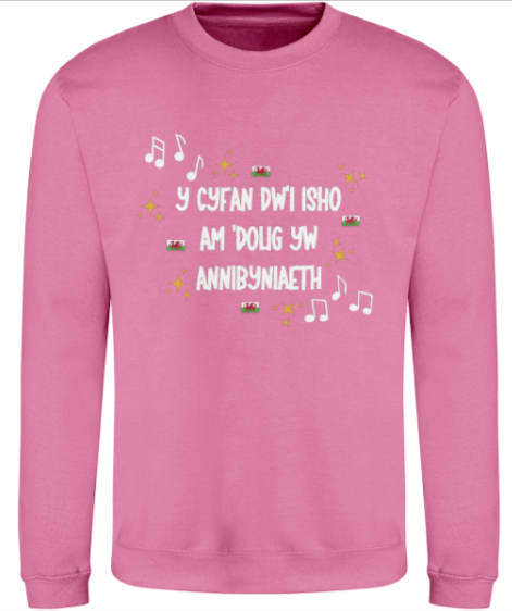 Pink sweatshirt with white text and musical notes on a white background