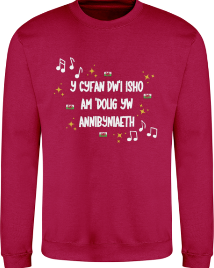Red sweatshirt with white text and musical notes on a white background