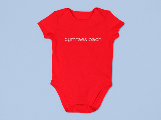 Cymraes bach Embroidered Babygrow
