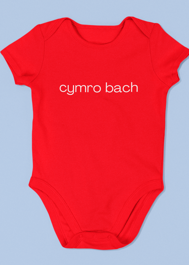 Cymro bach Embroidered Babygrow