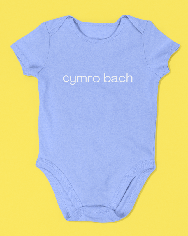 Cymro bach Embroidered Babygrow
