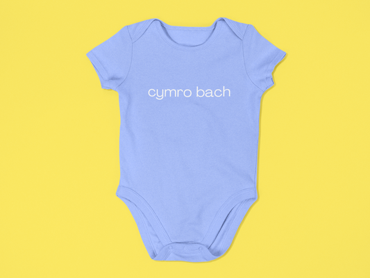 Cymro bach Embroidered Babygrow