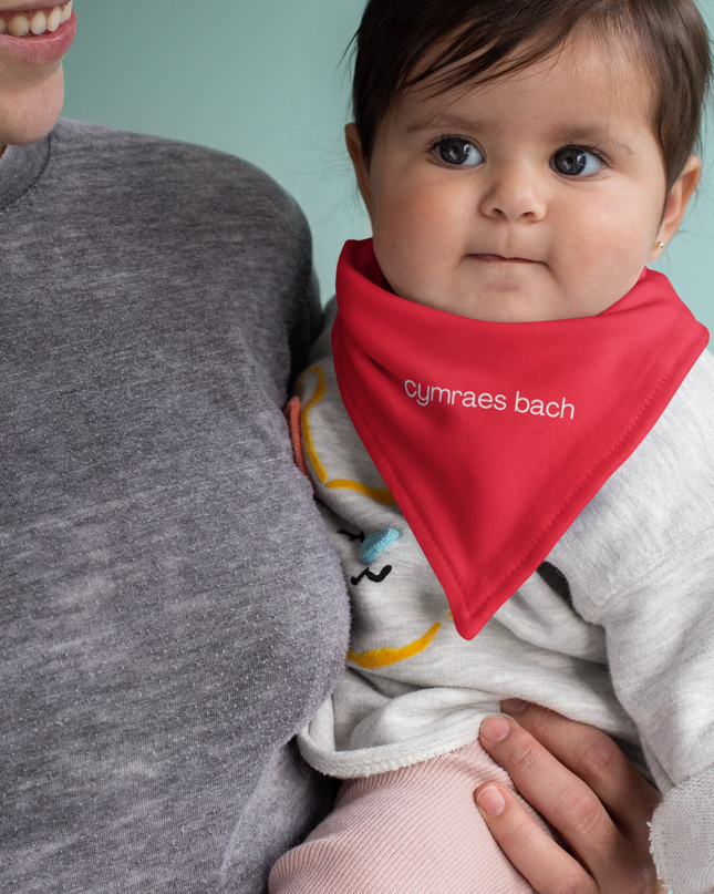 Baby wearing a red bib with 'cymraes bach' text, held by a smiling person against a light blue background