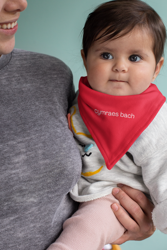 Baby wearing a red bib with 'cymraes bach' text, held by a smiling person against a light blue background