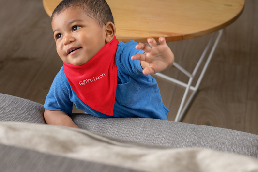 Child wearing a blue shirt and red bib with 'Cymro bach' on a couch.