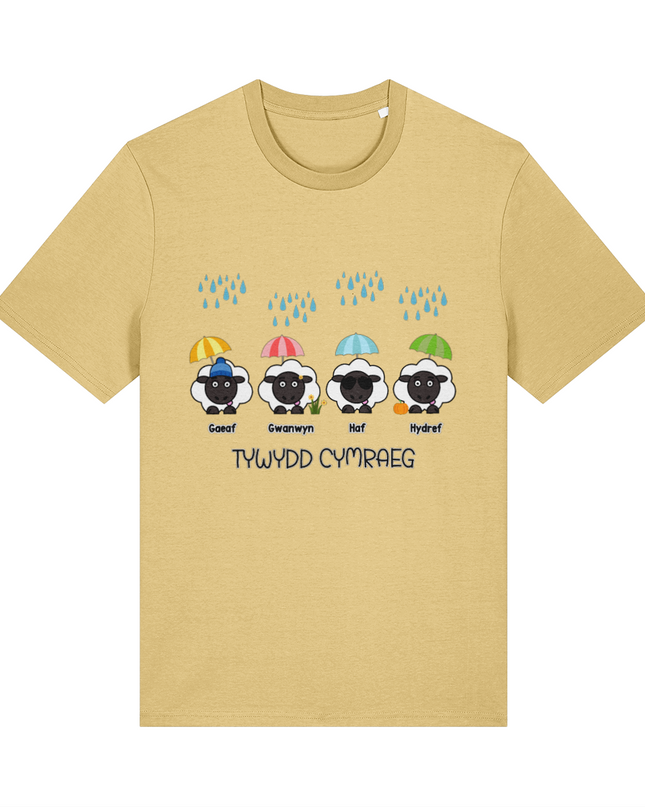 Tywydd Cymraeg Printed Adult T-Shirt