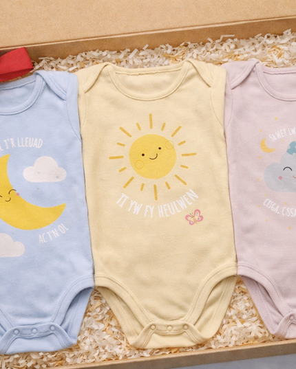 Welsh Baby Gift Set - Welsh Words of Love