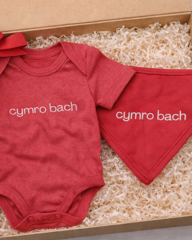 Welsh Baby Gift Set - Cymro Bach