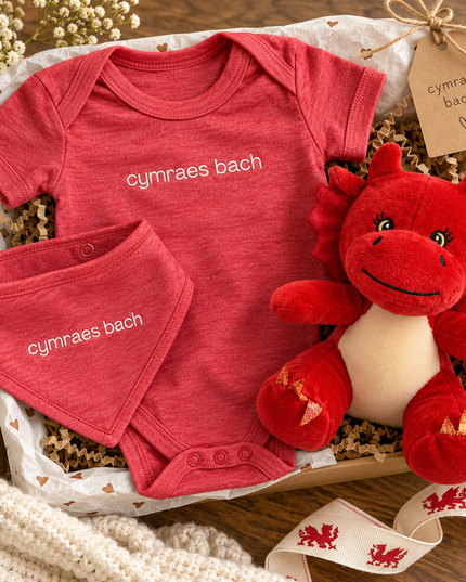 Croeso i'r Byd | Welsh Baby Gift Set