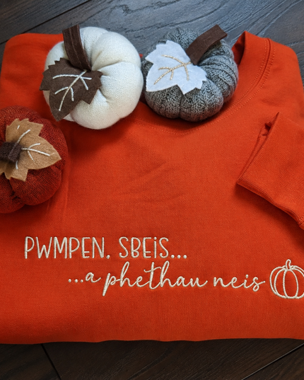 Pwmpen, sbeis a pethau neis Sweatshirt Brodwaith