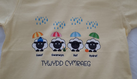 Tywydd Cymraeg children's tshirt
