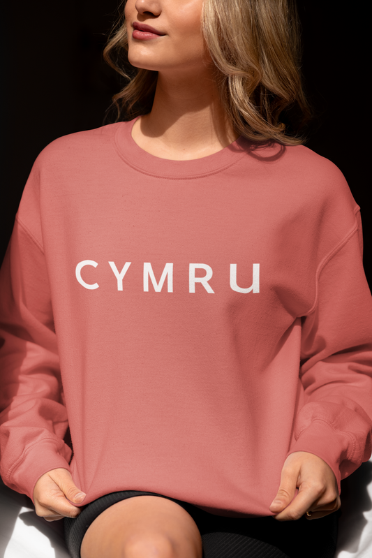 CYMRU embroidered sweatshirt