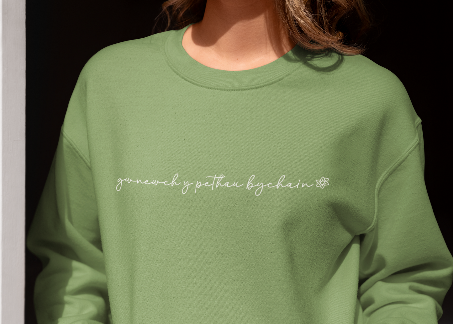 Gwnewch y pethau bychain embroidered sweatshirt